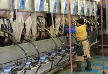 Pa. creates new fuel adjuster formula for milk