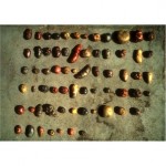 Potatoes come in more sizes, colors than most Americans know