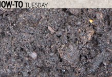 How do I test my soil?