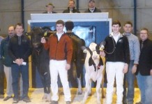 Pa. Holstein Convention Sale averages $3,933