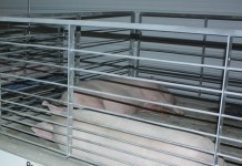 Pork producers blasted by new virus, PEDv