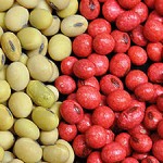 Coats protect seeds planted in cold, wet soils