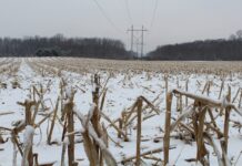 Winter is a fun season, but keep it safe winter