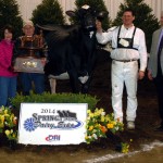 Holstein named supreme champion at Spring Dairy Expo