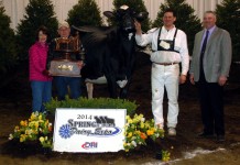 Holstein named supreme champion at Spring Dairy Expo