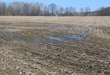 The lure of the weather market