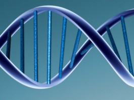 Battling the phobia of GMOs