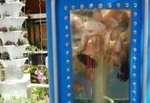 Bio-dome imagines future of food in space