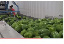 Videos can grow business for Ohio farms