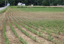 Flooding a problem for Ohio farmers