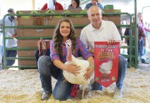 Harrison County Fair auction results