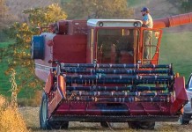 Agricultural Act to ease new farmers’ into trade Farmer on tractor