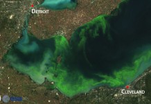 Scientists predict ‘significant’ harmful algal bloom in western Lake Erie this summer algae forecast 2014