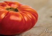 How to pick ripe tomatoes Tomatoes