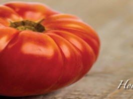 Tomatoes