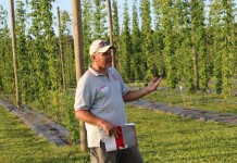 What’s happening with hops in Ohio