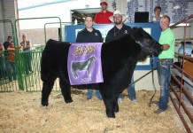 Carroll County Fair 2014