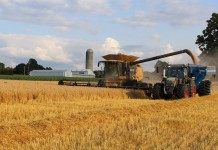 Harvest season safety tips, reminders wheat harvest