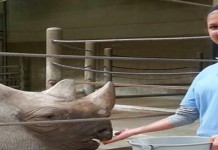 CFAES graduate sets sights on Olympic handball dream Katiann Scherer