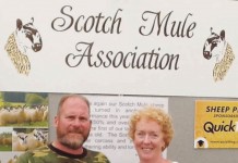 Vacation with Us: Harold and Connie Dunn