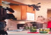 OSU Extension offers videos, guidance on home food preservation Linnette Goard