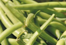 Preserving food with boiling water canning and pressure canning