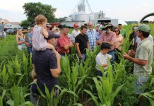 Twenty minutes with organic grain farmer Dean McIlvaine