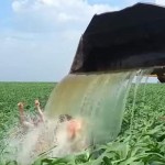ALS #IceBucketChallenge – farm style ice bucket challenge-Peterson Brothers