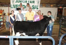Geauga County Fair market livestock sale results