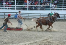 Photos from the 2014 Great Geauga County Fair