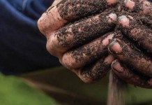 Get ready to battle the blues with a little dirt therapy this winter soil in hands