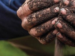 soil in hands