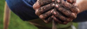 soil in hands