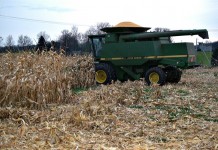 Cash rents: A different approach may be necessary