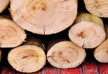 Firewood basics: Tips for drying, storage and safety firewood basics