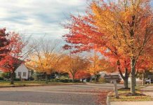 Fall facts: 12 things you may not know about autumn fall