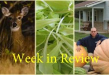 Farm and Dairy’s week in review: 11/1 Week in Review 11/1