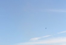 Northeast Ohio: Plans for farm bill workshops set