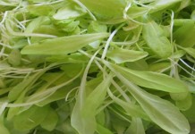 Two superfoods to grow indoors during cool weather microgreens