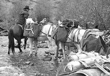 Work is reward for full-time Colorado outfitter hunting party