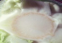 Fermentation, the other preservation fermentation