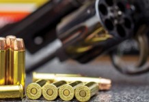 Even US senators don’t know how guns are sold gun