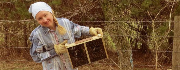 beekeeping