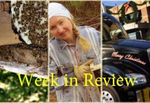 Farm and Dairy’s week in review: 11/22 Week in Review 11/22