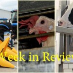 Farm and Dairy’s week in review: 12/6 Week in Review 12/6