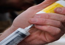 Animal welfare specialist expanding reach veterinary medicine