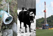 Farm and Dairy’s top stories of 2014 Top stories of 2014