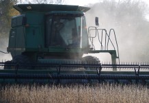 January USDA reports move grain markets soybeans