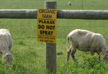 Opting out: Farm bill exempts more organic farmers from checkoffs