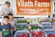 Vacation with Us: Aloha from Hawaii